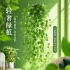 Simulación de espacio de oficina plantas de jardinería decoración decoración verde decoración interior Application Scenario